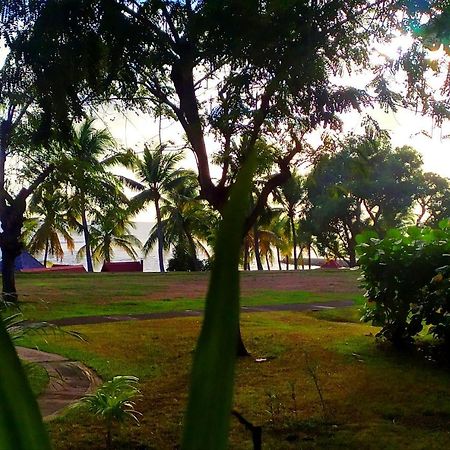 Ferienwohnung La Perle Des Caraibes Sainte-Anne  Exterior foto