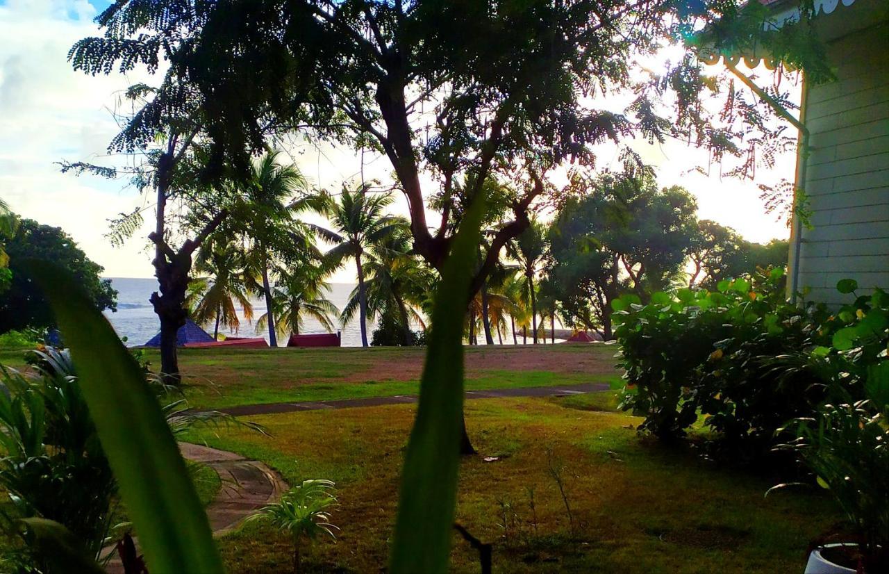 Ferienwohnung La Perle Des Caraibes Sainte-Anne  Exterior foto